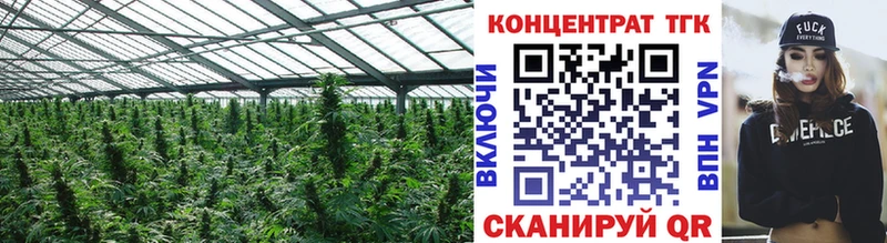 купить Ачинск Дистиллят ТГК THC oil