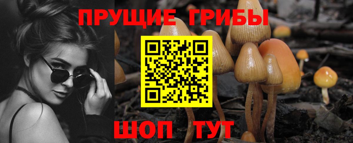 Галлюциногенные грибы Cubensis  где продают   Ачинск  Вход с VPN 