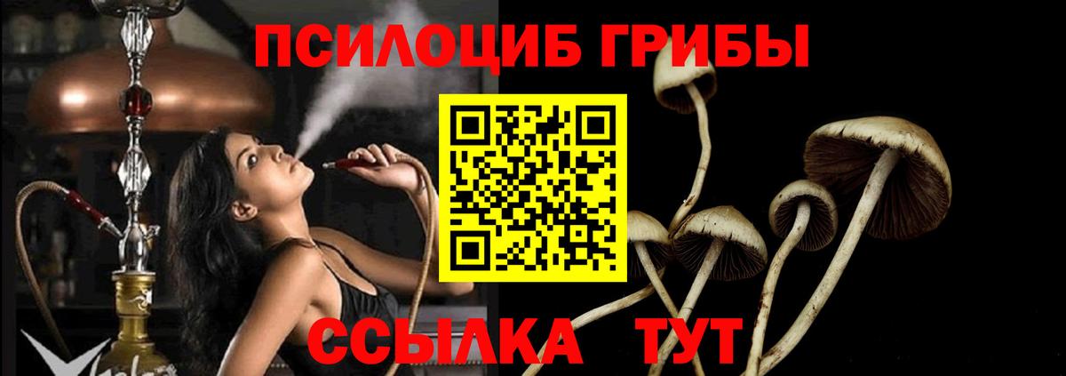 Галлюциногенные грибы прущие грибы Ачинск
